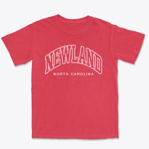 Newland North Carolina Inline Premium Heavyweight T-shirt