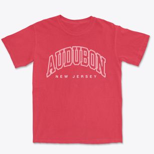 Audubon New Jersey Inline Premium Heavyweight T-shirt
