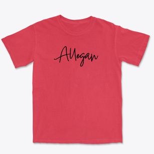 Allegan Michigan Freestyle Premium Heavyweight T-shirt