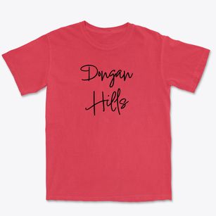 Dongan Hills New York Freestyle Premium Heavyweight T-shirt