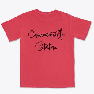 Conneautville Station Pennsylvania Freestyle Premium Heavyweight T-shirt