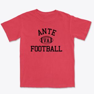 Ante Virginia Football Premium Heavyweight T-shirt