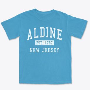 Aldine New Jersey Classic Established Premium Heavyweight T-shirt
