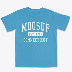 Moosup Connecticut Classic Established Premium Heavyweight T-shirt