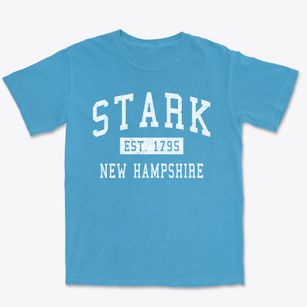 Stark New Hampshire Classic Established Premium Heavyweight T-shirt