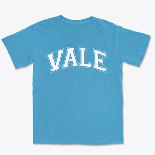 Vale Elementary School Varsity Arch Premium Heavyweight T-shirt