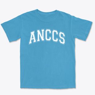Alaska Native Cultural Charter School Varsity Arch Premium Heavyweight T-shirt