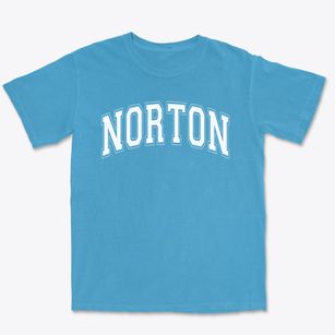 Norton Elementary School Varsity Arch Premium Heavyweight T-shirt