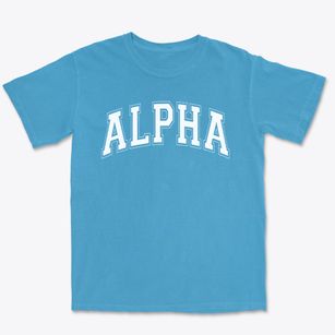 Alpha Elementary School Varsity Arch Premium Heavyweight T-shirt