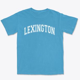 Lexington Middle School Varsity Arch Premium Heavyweight T-shirt