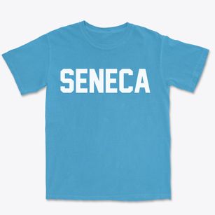 Seneca Missouri Classic Block Premium Heavyweight T-shirt