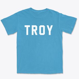 Troy New Hampshire Classic Block Premium Heavyweight T-shirt