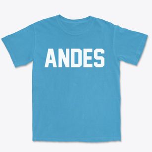 Andes New York Classic Block Premium Heavyweight T-shirt