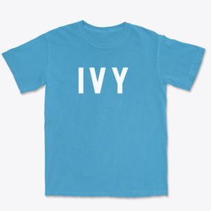 Ivy Virginia Classic Block Premium Heavyweight T-shirt
