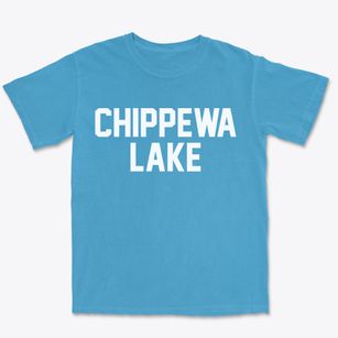 Chippewa Lake Ohio Classic Block Premium Heavyweight T-shirt