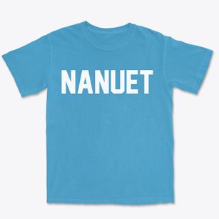 Nanuet New York Classic Block Premium Heavyweight T-shirt