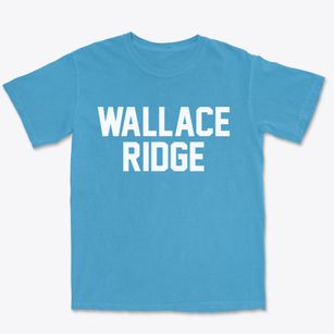 Wallace Ridge Louisiana Classic Block Premium Heavyweight T-shirt
