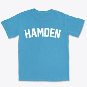 Hamden Connecticut Classic Curve Premium Heavyweight T-shirt