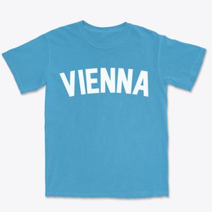 Vienna New York Classic Curve Premium Heavyweight T-shirt
