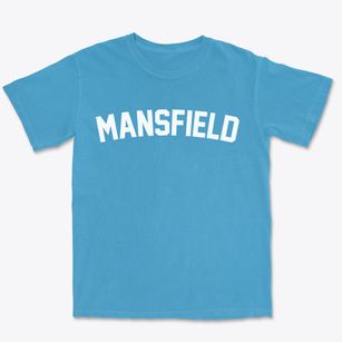 Mansfield Pennsylvania Classic Curve Premium Heavyweight T-shirt