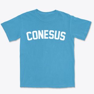 Conesus New York Classic Curve Premium Heavyweight T-shirt