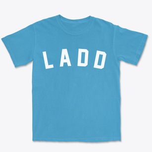 Ladd Illinois Classic Curve Premium Heavyweight T-shirt