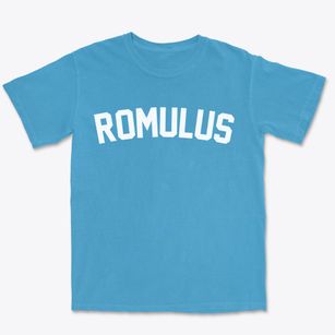 Romulus Michigan Classic Curve Premium Heavyweight T-shirt