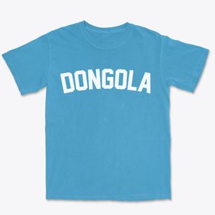 Dongola Illinois Classic Curve Premium Heavyweight T-shirt
