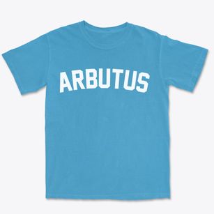 Arbutus Maryland Classic Curve Premium Heavyweight T-shirt