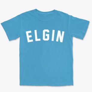 Elgin North Dakota Classic Curve Premium Heavyweight T-shirt