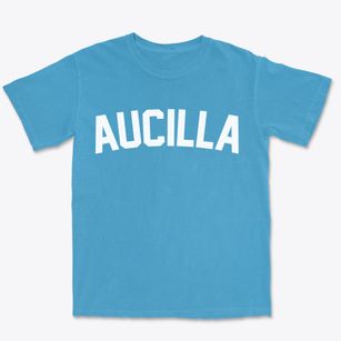 Aucilla Florida Classic Curve Premium Heavyweight T-shirt