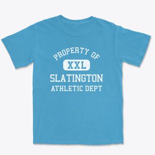 Slatington Pennsylvania Athletic Dept Premium Heavyweight T-shirt