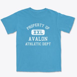 Avalon New Jersey Athletic Dept Premium Heavyweight T-shirt