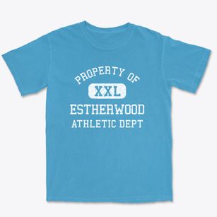 Estherwood Louisiana Athletic Dept Premium Heavyweight T-shirt