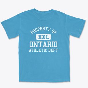 Ontario Wisconsin Athletic Dept Premium Heavyweight T-shirt
