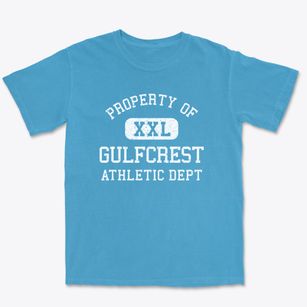 Gulfcrest Alabama Athletic Dept Premium Heavyweight T-shirt