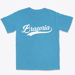 Brazoria Texas Vintage Team Premium Heavyweight T-shirt