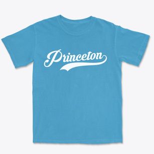 Princeton Wisconsin Vintage Team Premium Heavyweight T-shirt