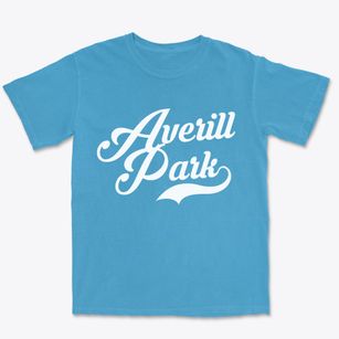 Averill Park New York Vintage Team Premium Heavyweight T-shirt