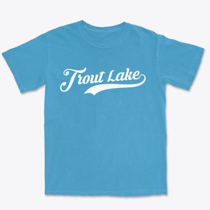 Trout Lake Washington Vintage Team Premium Heavyweight T-shirt