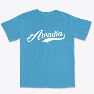 Arcadia Ohio Vintage Team Premium Heavyweight T-shirt