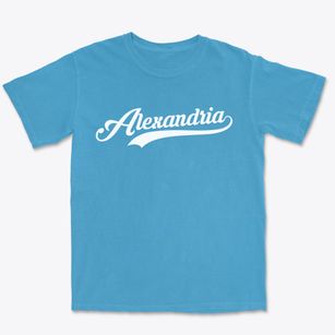 Alexandria Ohio Vintage Team Premium Heavyweight T-shirt