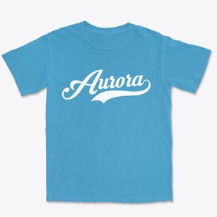 Aurora North Carolina Vintage Team Premium Heavyweight T-shirt