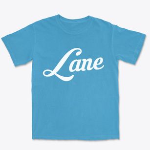 Lane South Carolina Vintage Team Premium Heavyweight T-shirt