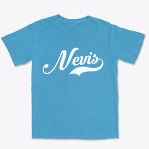 Nevis Minnesota Vintage Team Premium Heavyweight T-shirt