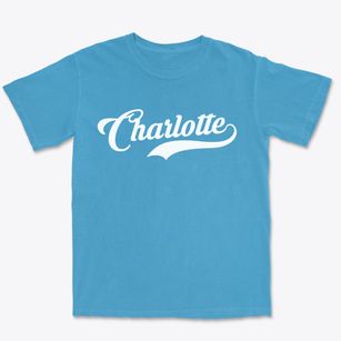 Charlotte Iowa Vintage Team Premium Heavyweight T-shirt