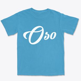 Oso Washington Vintage Team Premium Heavyweight T-shirt