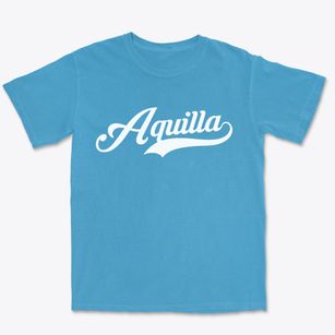 Aquilla Texas Vintage Team Premium Heavyweight T-shirt