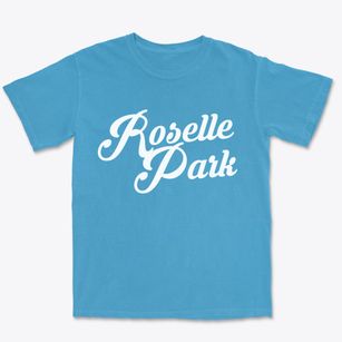 Roselle Park New Jersey Vintage Team Premium Heavyweight T-shirt