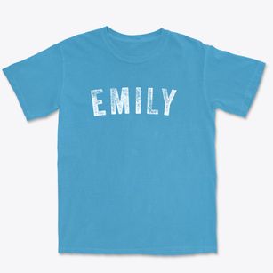 Emily Minnesota Timeless Retro Premium Heavyweight T-shirt